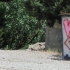 2012-05-bilder-des-tages-29-05-01