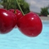 2012-05-bilder-des-tages-29-05-05