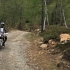 RtM - Piemont2018 - 020