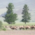 09_Mongolia_007