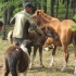 09_Mongolia_010
