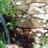 Galerie 6 - Tadjikistan010