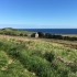 RtSCO27