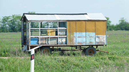 P1060169
