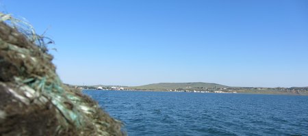 IMG 0071