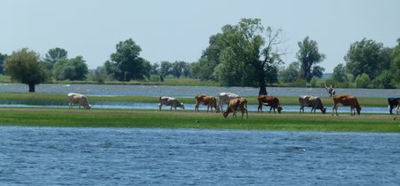 P1060685