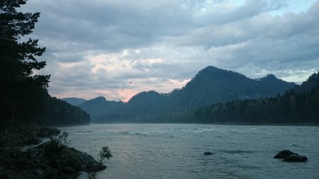 DSC 0169