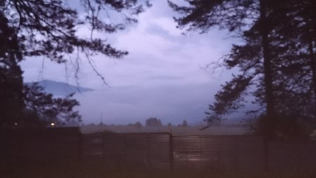 DSC 0174