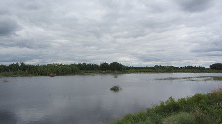 IMG 2067