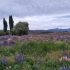 RiSA2017 - Patagonia 098